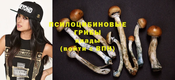 твердый Михайловка