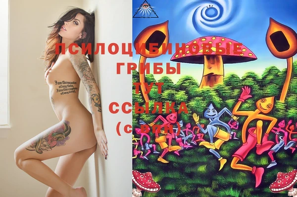 твердый Михайловка