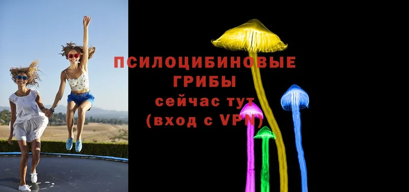 Псилоцибиновые грибы Psilocybe  даркнет сайт  OMG как зайти  Лосино-Петровский 