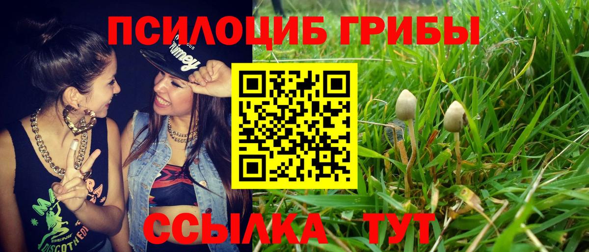 Галлюциногенные грибы прущие грибы  Лосино-Петровский  Псилоцибиновые грибы GOLDEN TEACHER 