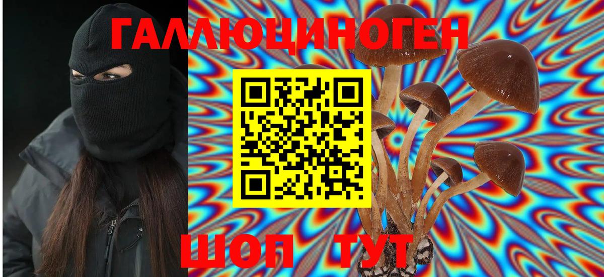 Галлюциногенные грибы мухоморы Лосино-Петровский