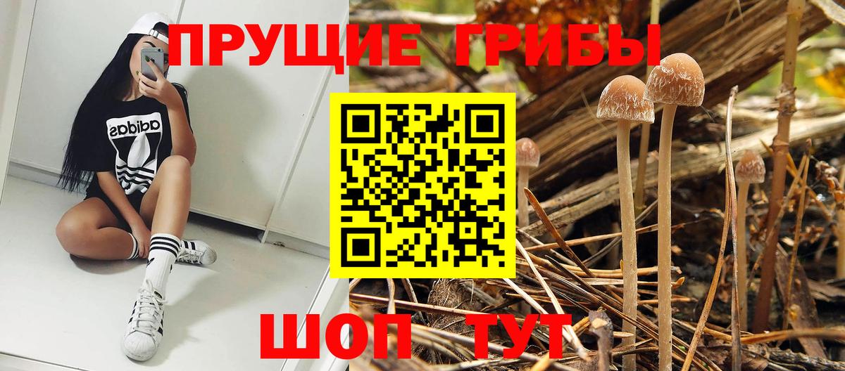 Псилоцибиновые грибы GOLDEN TEACHER  Галлюциногенные грибы GOLDEN TEACHER  Вход с VPN  Лосино-Петровский 
