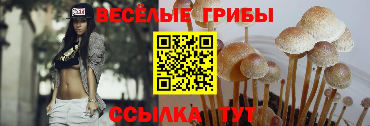 Конопля Лосино-Петровский